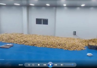 施工案例