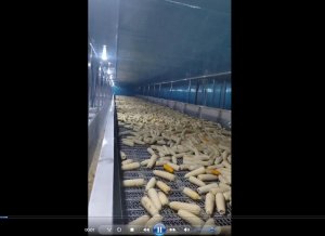 施工案例