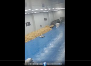 施工案例
