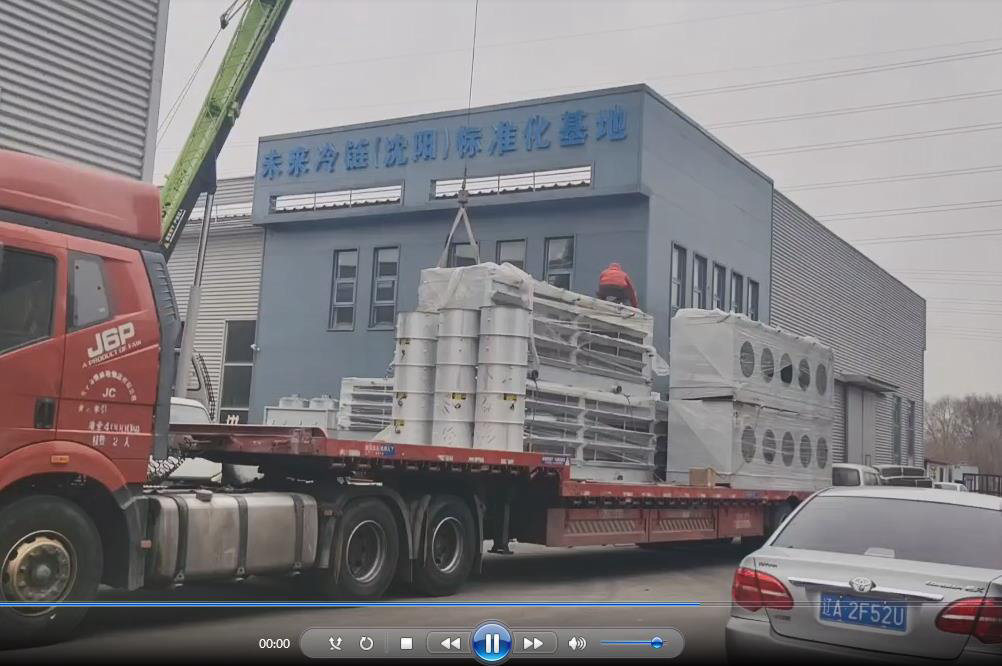 出货现场视频